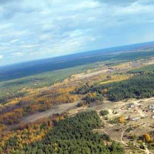золотая осень, взляд из под крыла золотая осень, взляд из под крыла